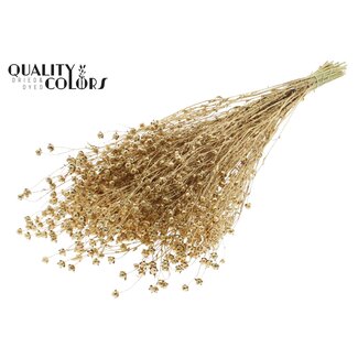 QC Gedroogd Lino Vlas | Kleur: Antiek Goudkleurig met Glitter | Linum Droogbloemen | Lengte ± 50 centimeter | Gewicht 150 gram | Per bos