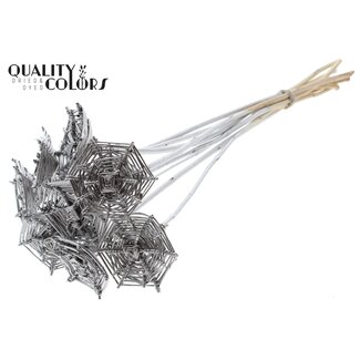 QC Rattan Lata Spiderweb on stick | Colour: Silver-coloured | Lata Spiderweb flat Plant Stake | Length ± 50 centimetres | 10 plant stakes per bunch