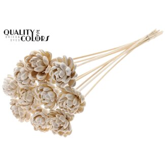 QC Shola wooden with wax rose on stem | Colour: White | Shola New Beauty Rose | Diameter 6 centimeter | Length ± 50 centimeter | 10 extra picks per bunch | Per bunch