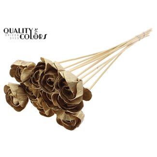 QC Shola Rozen op stok | Kleur: Antiek Goudkleurig | Shola Dear Holly | Diameter 6 centimeter | Lengte  ± 50 centimeter | 10 bijstekers per bos | Per bos