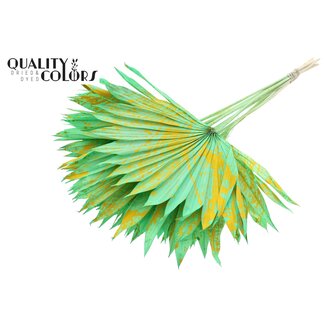 QC Dried Palm Sun Spear | Colour: Speckled Mint Yellow | Fan-shaped Palm Leaves | Length ± 50 centimetres | 10 stems per bunch | Per bunch