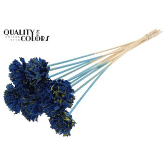 QC Shola Houten Karnish Bloem op stok | Kleur: Gespetterd Blauw Geel | Shola Karnish Flower Bijsteker | Diameter bloem 6 centimeter | Lengte bijsteker ± 50 centimeter | 10 bijstekers per bos
