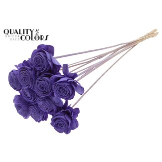 QC Shola Beauty Rose 6cm on stem Milka