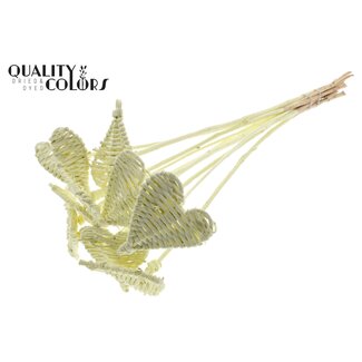 QC Cœur en rotin Lata sur tige | Couleur : Crème | Pique décorative plate Lata Heart | Diamètre 8 centimètres | Longueur ± 50 centimètres | 10 piques par bouquet