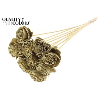 QC Shola Roos op stok | Kleur: Goudkleurig | Shola Beauty Rose | Diameter 6 centimeter | Lengte ± 50 centimeter | 10 bijstekers per bos | Per bos
