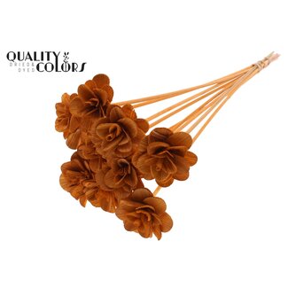 QC Shola rose on stem | Colour: Terracotta | Shola Beetal Rose | Diameter 6 centimeter | Length ± 50 centimeter | 10 picks per bunch | Per bunch