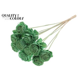 QC Shola Roos op stok | Kleur: Mintgroen | Shola Beauty Rose | Diameter 6 centimeter | Lengte ± 50 centimeter | 10 bijstekers per bos | Per bos