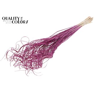 QC Dried Palm Leaf Vein | Curly Ting Ting | Colour: Lilac | Length ± 70 centimetres | 100 stems per bunch | Per bunch