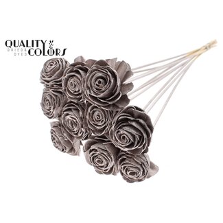 QC Shola Roos op stok | Kleur: Champagnekleurig | Shola Beauty Rose | Diameter 6 centimeter | Lengte ± 50 centimeter | 10 bijstekers per bos | Per bos