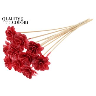 QC Shola Wooden Rose with wax on stick | Colour: Red | Shola Beetal Rose Stick | Rose diameter 6 centimetres | Stick length ± 50 centimetres | 10 sticks per bunch