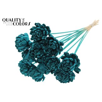 QC Shola Roos op stok | Kleur: Turquoise | Shola New Beauty Rose | Diameter 8 centimeter | Lengte ± 50 centimeter | 10 bijstekers per bos | Per bos