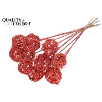 QC Rattan Ball on Stick | Colour: Coral | Bruce Ball Stake | Diameter 5 centimetres | Length ± 50 centimetres | 10 stakes per bunch