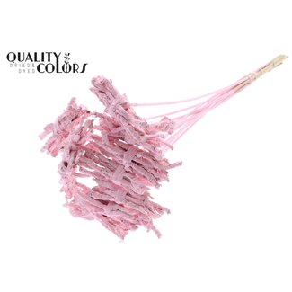 QC Decorative Coco Rose Posy on Stick | Colour: Light Pink | Coco Rose Posy Stick | Stick Length ± 50 centimetres | 10 sticks per bunch