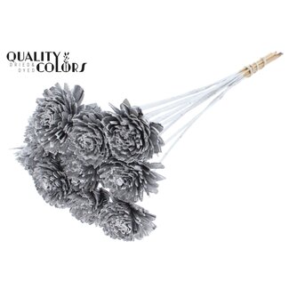 QC Shola Houten Zinnia op stok | Kleur: Zilverkleurig | Shola Zinia Bijsteker | Diameter bloem 6 centimeter | Lengte bijsteker ± 50 centimeter | 10 bijstekers per bos