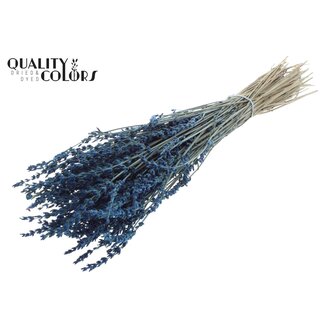 QC Gedroogde Lavendel | Kleur: Super Blauw | Lavendel Droogbloemen | Lengte ± 50 centimeter | Gewicht 100 gram | Per bos