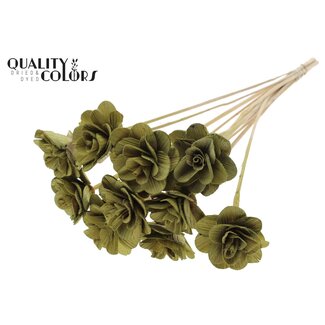 QC Shola Houten Roos op stok | Kleur: Olijfgroen | Shola Beetal Rose Bijsteker | Diameter roos 8 centimeter | Lengte bijsteker ± 50 centimeter | 10 bijstekers per bos