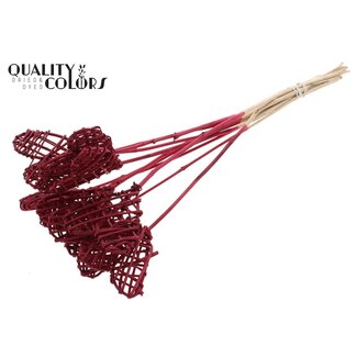 QC Rattan Lata Heart on stick | Colour: Bordeaux red | Lata Heart flat plant stick | Length ± 50 centimetres | 10 plant sticks per bunch