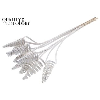 QC Palm Spiral on Stem | Colour: White | Cane Cone Plant Stake | Stake Length ± 50 centimetres | Per 10 stakes