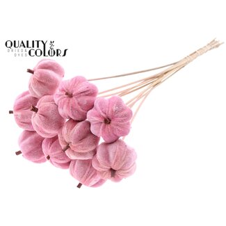 QC Citrouille en velours sur bâton | Couleur : Rose clair | Décoration de citrouille | Diamètre de la citrouille 6 centimètres | Longueur ± 50 centimètres | 10 décorations par bouquet