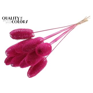 QC Mini Luffa Schwamm auf Stiel | Farbe: Fliederfarben | Loofah Einstecker | Länge ± 50 Zentimeter | 10 Einstecker pro Bund