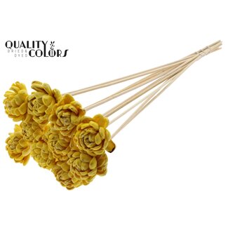 QC Shola Houten met was Roos op stok | Kleur: Geel | Shola New Beauty Rose Bijsteker | Diameter roos 6 centimeter | Lengte bijsteker ± 50 centimeter | 10 bijstekers per bos