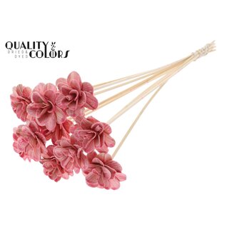 QC Shola Houten Roos met was op stok | Kleur: Lichtroze | Shola Beetal Rose Bijsteker | Diameter roos 6 centimeter | Lengte bijsteker ± 50 centimeter | 10 bijstekers per bos