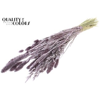 QC Bouquet of Dried Flower Mix | Colour: Metallic Pink | Length ± 60 centimetres | Per bunch