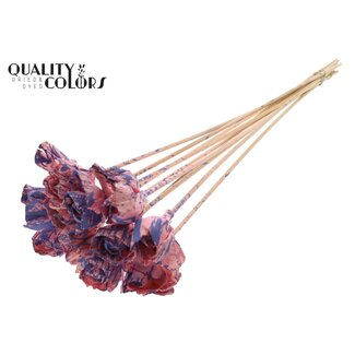 QC Shola Wooden Rose on stick | Colour: Speckled Pink Milkapurple | Shola Dear Holly Stick | Rose diameter 6 centimetres | Stick length ± 50 centimetres | 10 sticks per bunch