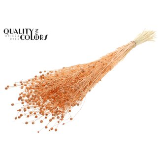 QC Getrockneter Gebleichter Leinenflachs | Farbe: Frosted Lachsfarben | Linum Trockenblumen | Länge ± 70 Zentimeter | Gewicht 100 Gramm | Pro Bund
