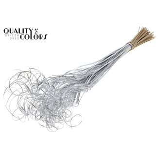 QC Dried Palm Leaf Vein | Curly Ting Ting | Colour: Silver | Length ± 70 centimetres | 100 stems per bunch | Per bunch