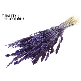 QC Dried Flower Mix Bouquet | Colour: Purple | Length ± 60 centimetres | Per bunch