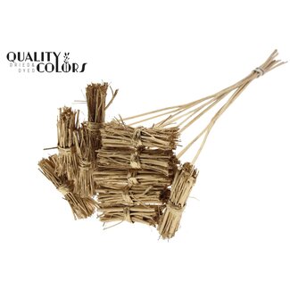 QC White Lady Posy on Stick | Colour: Antique Gold | White Lady Posy Plant Stake | Length ± 50 centimetres | 10 plant stakes per bunch