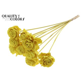 QC Shola Beauty Rose 6cm on stem Yellow