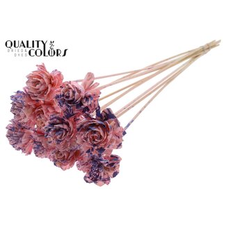 QC Shola Dahlia op stok | Kleur: Gespetterd Roze Milkapaars | Shola Dhalya | Diameter 6 centimeter | Lengte ± 50 centimeter | 10 bijstekers per bos | Per bos