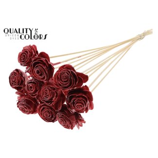 QC Shola Rozen met was op stok | Kleur: Bordeauxrood | Shola Beauty Rose | Diameter 6 centimeter | Lengte ± 50 centimeter | 10 bijstekers per bos | Per bos