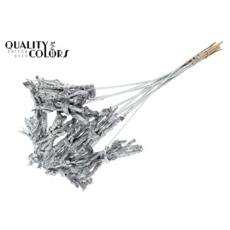 QC Decorative Coco Rose Posy on Stick | Colour: Silver | Coco Rose Posy Stick | Stick Length ± 50 centimetres | 10 sticks per bunch