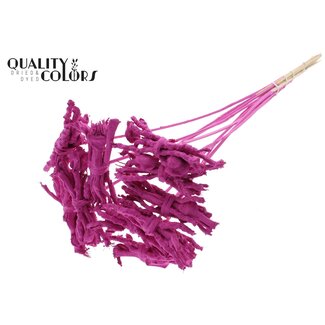 QC Decorative Coco Rose Posy on Stick | Colour: Cherry-Coloured | Coco Rose Posy Stick | Stick Length ± 50 centimetres | 10 sticks per bunch