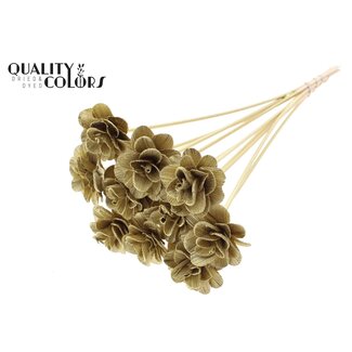 QC Shola Rose on stem | Colour: Gold-coloured | Shola Beetal Rose | Diameter 6 centimetre | Length ± 50 centimetre | 10 picks per bunch | Per bunch