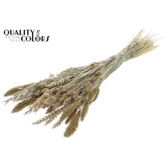 QC Bouquet of Dried Flower Mix | Colour: Frosted White | Length ± 60 centimetres | Per bunch