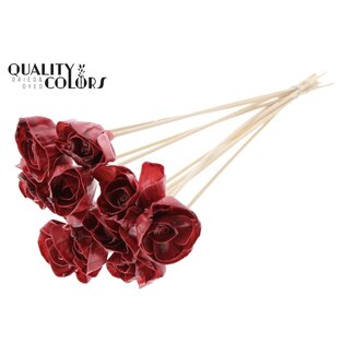QC Shola Rozen met was op stok | Kleur: Bordeauxrood | Shola Dear Holly | Diameter 6 centimeter | Lengte  ± 50 centimeter | 10 bijstekers per bos | Per bos