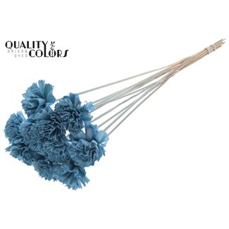 QC Shola Wooden Carnation Flower on stick | Colour: Light Blue | Shola Carnation Flower Stick | Flower diameter 6 centimetres | Stick length ± 50 centimetres | 10 sticks per bunch