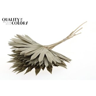 QC Gedroogde Palm Sun Spear | Kleur: Naturelle Grijsgroen | Palmbladeren in Waaiervorm | Lengte ± 50 centimeter | 10 takken per bos | Per bos