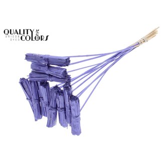 QC Kore Bouquet on Stick | Colour: Metallic Purple | Kore Stick | Stick Length ± 50 centimetres | 10 sticks per bunch