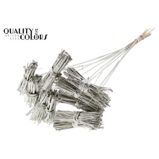 QC White Lady Boeketje op stok | Kleur: Platinakleurig | White Lady Posy Bijsteker | Lengte ± 50 centimeter | 10 bijstekers per bos