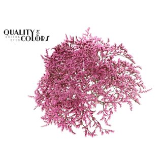 QC Getrockneter Meerlavendel | Farbe: Rosa | Limonium Tataricum Trockenblumen | Länge ± 30 cm | Gewicht 45 Gramm | Pro Bund