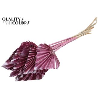 QC Gedroogde Palm Spear | Kleur: Metallic Roze | Palmbladeren in Speervorm | Lengte ± 50 centimeter | 10 takken per bos | Per bos