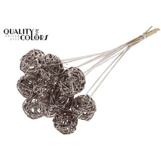 QC Rattan Ball am Stab | Farbe: Champagnerfarben | Bruce Ball Einstecker | Durchmesser 5 Zentimeter | Länge ± 50 Zentimeter | 10 Einstecker pro Bund