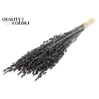 QC Getrockneter Hafer Premium | Farbe: Schwarz | Avena Premium Trockenblumen | Länge ± 70 Zentimeter | Gewicht 200 Gramm | Pro Bund