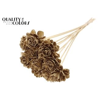 QC Shola Dahlia on stem | Colour: Antique Gold-coloured | Shola Dhalya | Diameter 6 centimeter | Length ± 50 centimeter | 10 extra picks per bunch | Per bunch