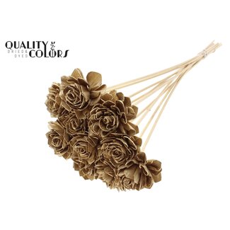 QC Shola Houten Dahlia op stok | Kleur: Antiek Goudkleurig | Shola Dahlia Bijsteker | Diameter bloem 6 centimeter | Lengte bijsteker ± 50 centimeter | 10 bijstekers per bos